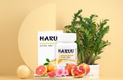 Giới thiệu chung về Haruu